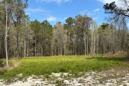 Lot 3 Coats Rd. photo 4