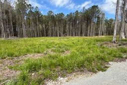 Lot 2 Coats Rd. photo 4