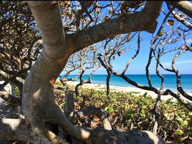 601 Seafarer Circle, Unit 504, Jupiter, FL 33477 Photo