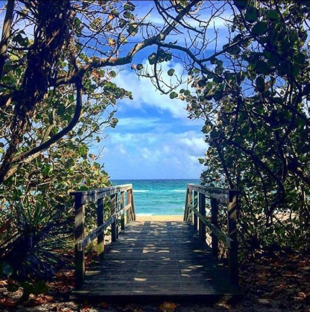 601 Seafarer Circle, Unit 504, Jupiter, FL 33477 Photo