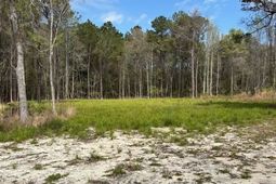 Lot 4 Coats Rd. photo 4