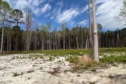 Lot 4 Coats Rd. photo 4