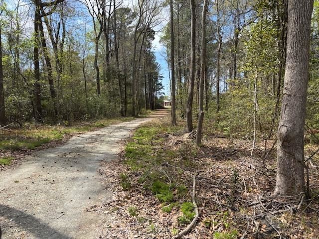 Lot 4 Coats Rd. Photo 5