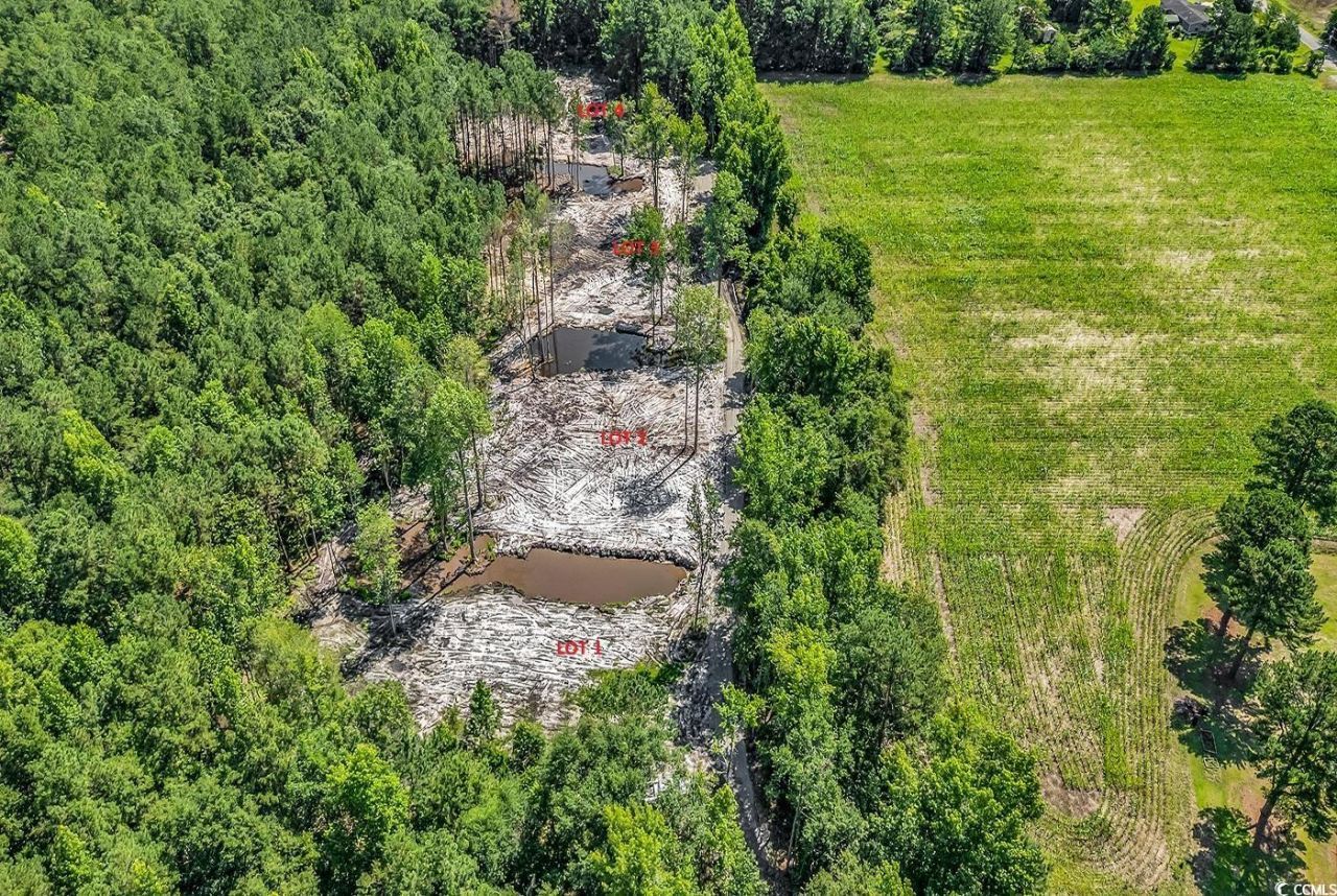 Lot 4 Coats Rd. Photo 7