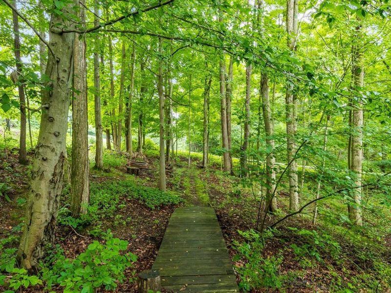 275 Bridle Path Lane, Granville, OH 43023 Photo 3