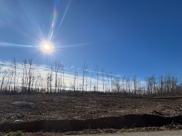 0 Brinkley Rd, Wartrace, TN 37183