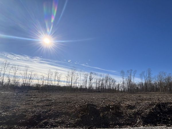 0 Brinkley Rd, Wartrace, TN 37183