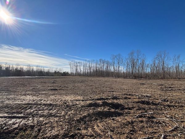 0 Brinkley Rd, Wartrace, TN 37183