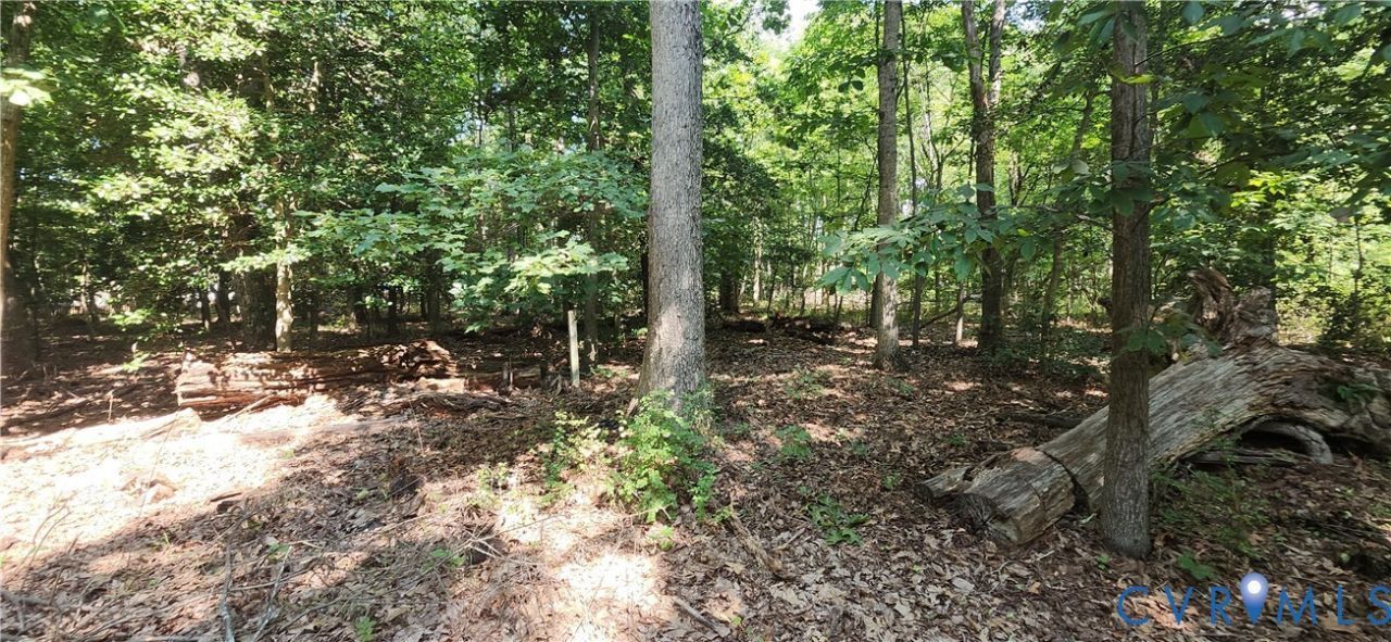 14316 Garnett Lane, Midlothian, VA 23114 Main Photo