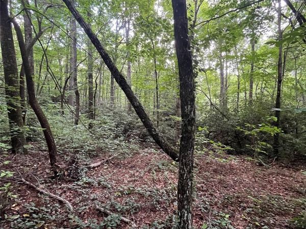 000 GREENLEAF Drive, Flat Rock, NC 28731