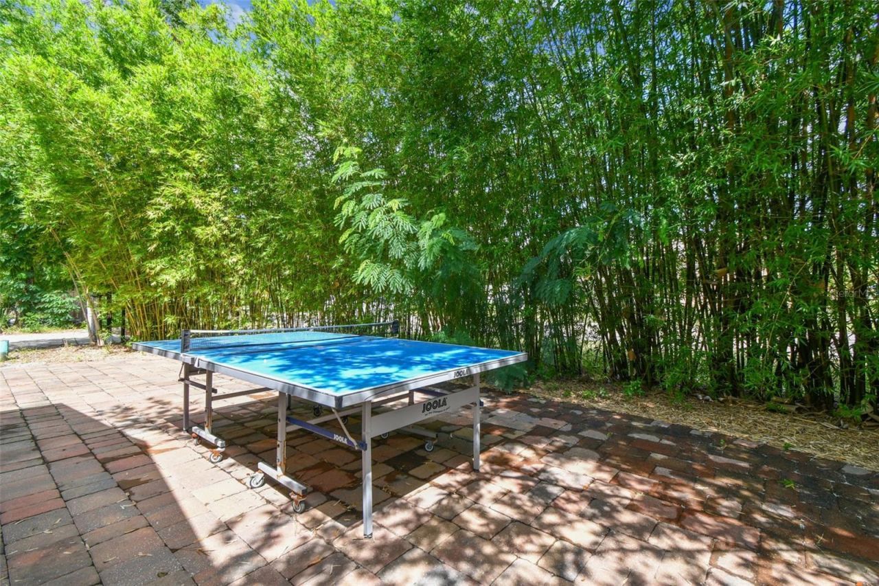 5909 Mohr Road, Tampa, FL 33615 Photo