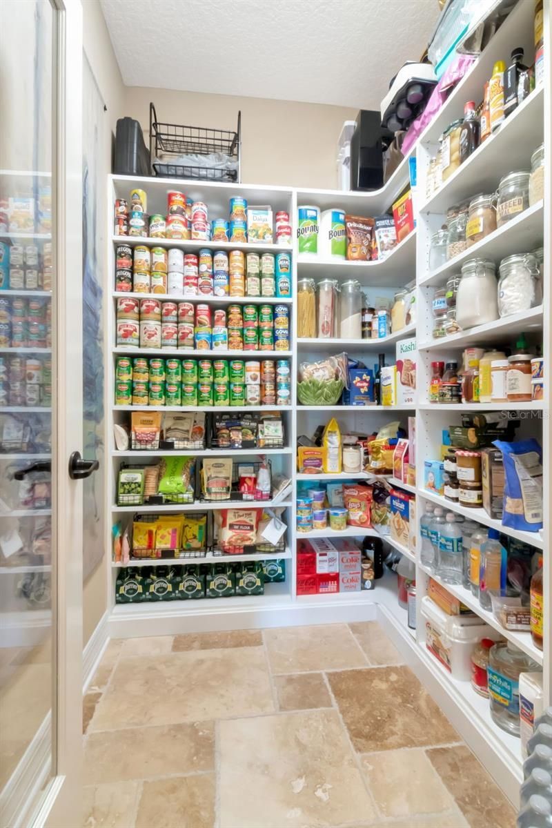 4527 Scarlet Loop, Wesley Chapel, FL 33544 Photo