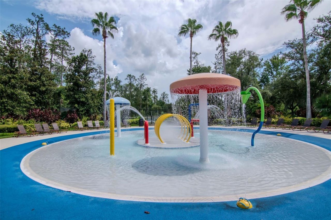 4527 Scarlet Loop, Wesley Chapel, FL 33544 Photo