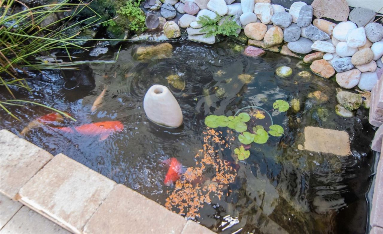 4527 Scarlet Loop, Wesley Chapel, FL 33544 Photo