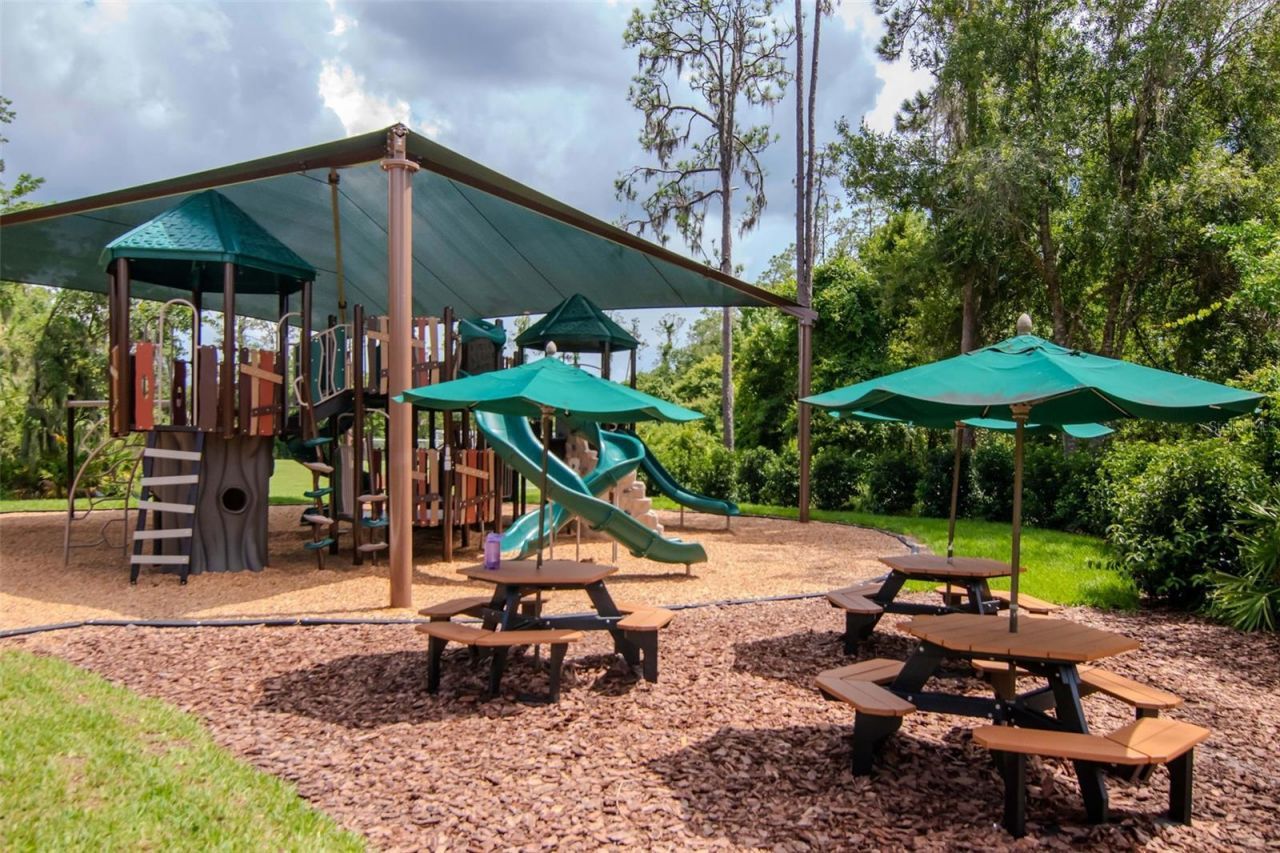 4527 Scarlet Loop, Wesley Chapel, FL 33544 Photo