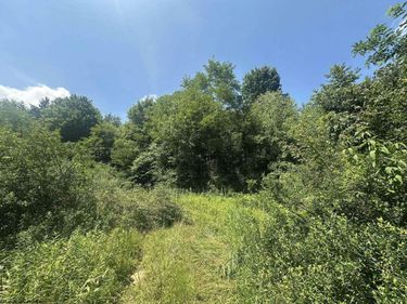 TBD Kanes Creek Road, Reedsville, WV 26547