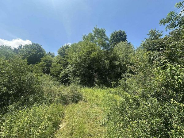 TBD Kanes Creek Road, Reedsville, WV 26547