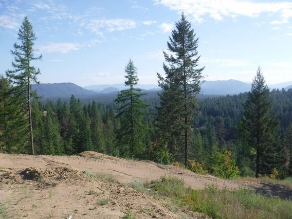 Lot 2 Moose Ridge Way, Loon Lake, WA 99148