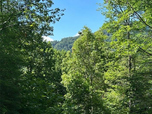 33 Nuthatch Lane, Black Mountain, NC 28711