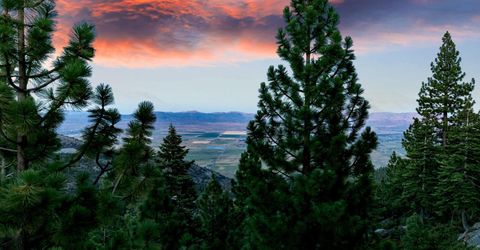 305 Galaxy Lane, Unit #3, Stateline, NV 89449 Photo