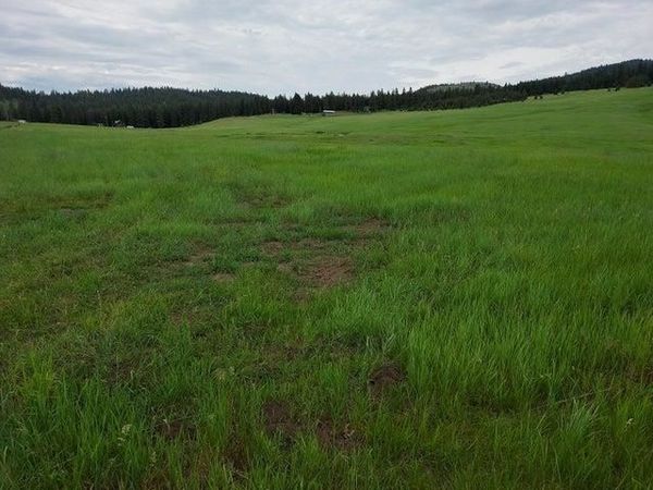 37 Old Ranch House Rd, Republic, WA 99166