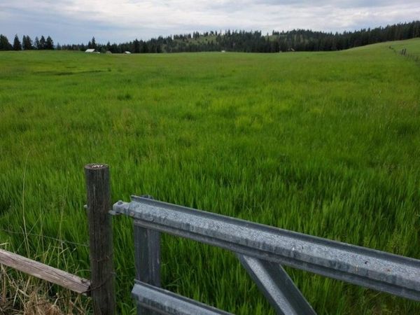 47 Old Ranch House Rd, Republic, WA 99166