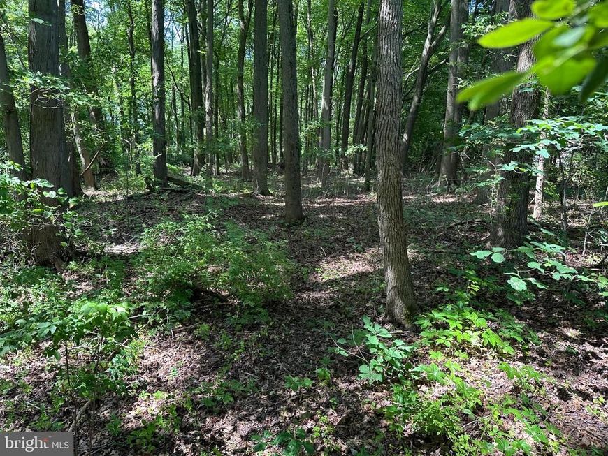 Lot 7 Maple Drive, Lot #LOT 7, Stevensville, MD 21666 Main Photo