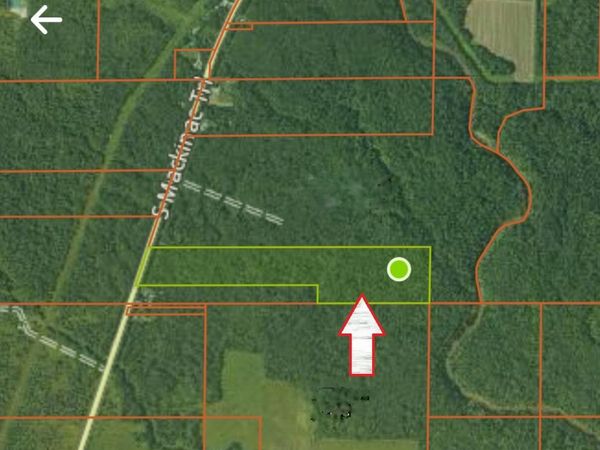 TBD S Mackinac TRL, Rudyard, MI 49780