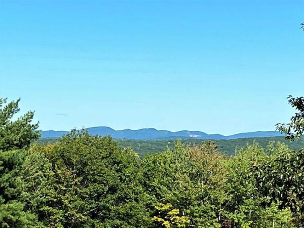 00 Libby Road, Unit Lot #9, Newfield, ME 04095