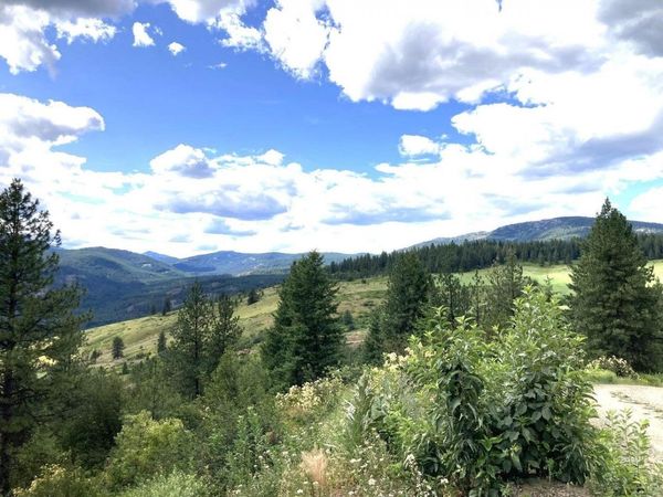 #T BUFFY Ln, Inchelium, WA 99138