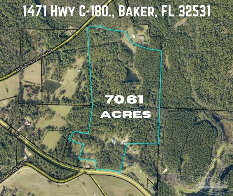 1471 Hwy C-180, Baker, FL 32531 Main Photo