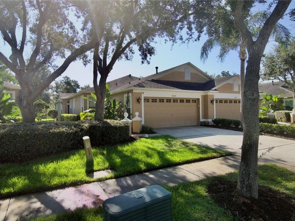 19129 LAKE AUDUBON DRIVE, TAMPA, FL 33647