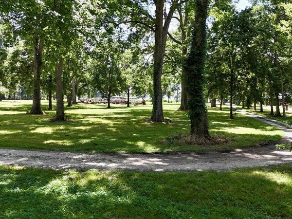 6 Acres Mol Eagle Lake Ms, Vicksburg, MS 39183