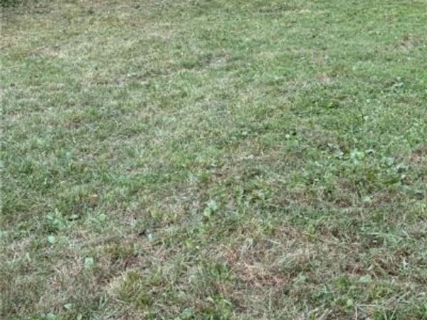 5855 Olney Run Road, Mcconnelsville, OH 43756