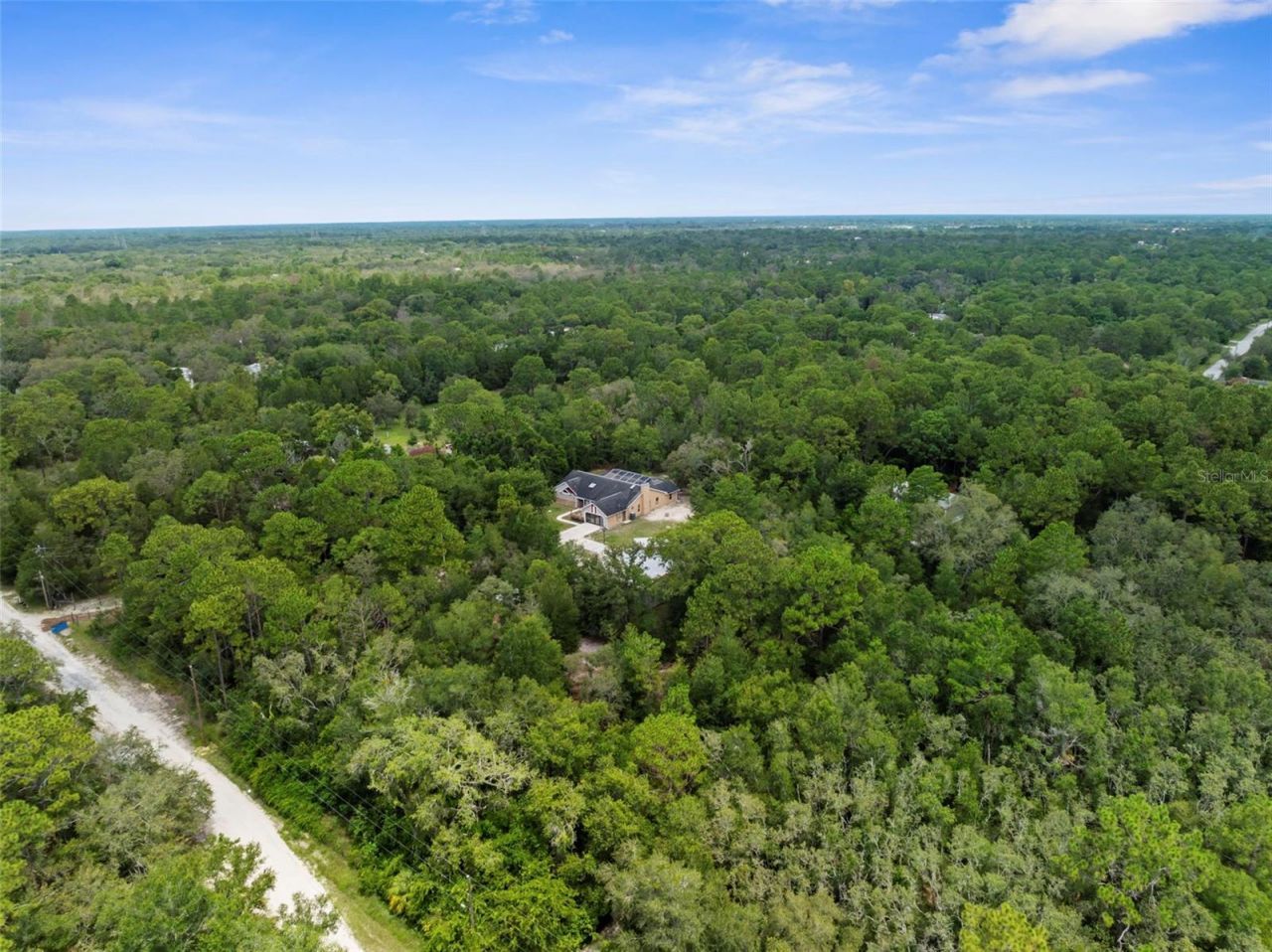 17131 Dalberg Drive, Spring Hill, FL 34610 Photo