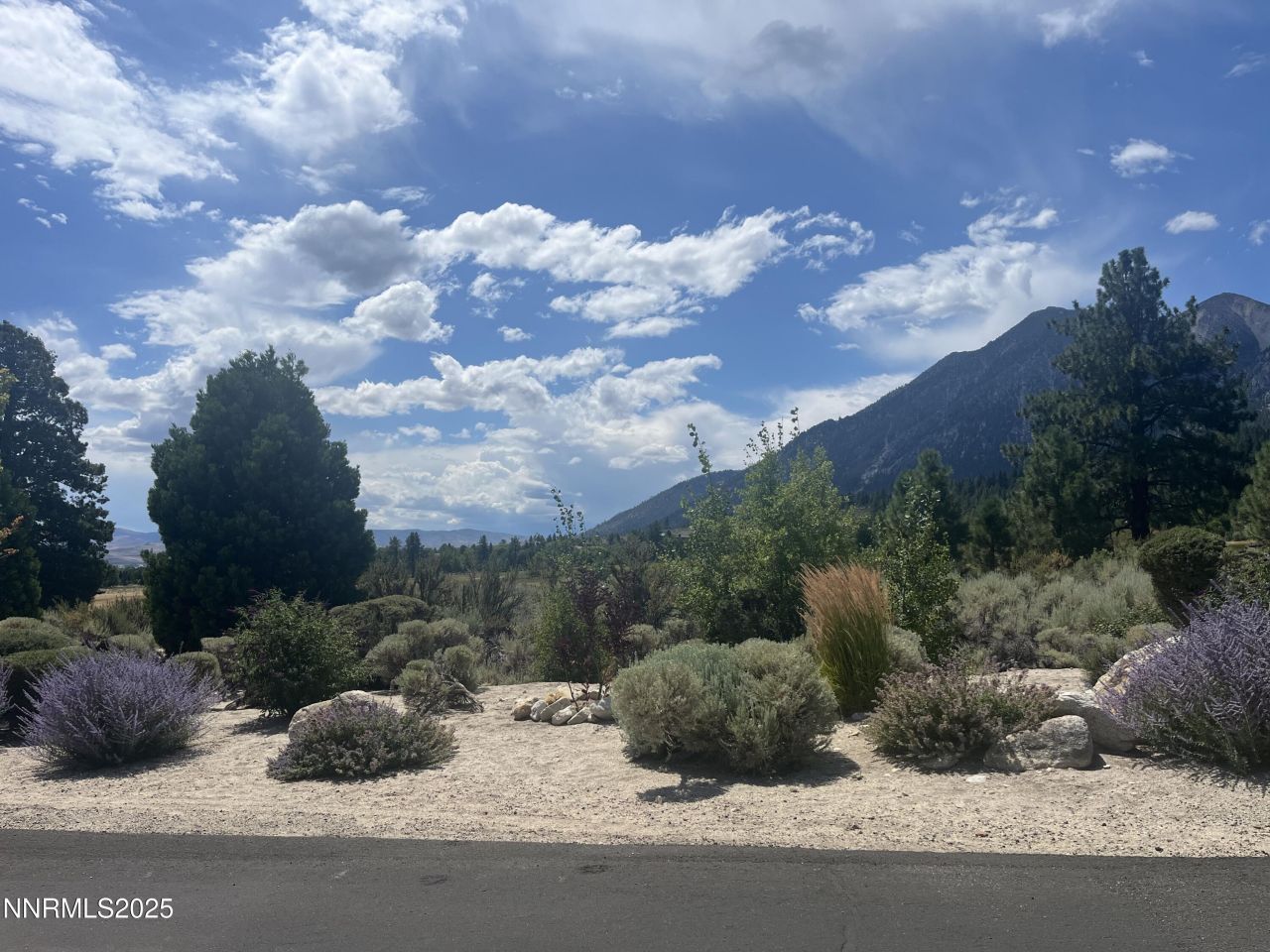 233 Sierra Country Circle, Gardnerville, NV 89460 Photo