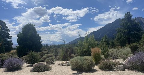 233 Sierra Country Circle, Gardnerville, NV 89460 Photo