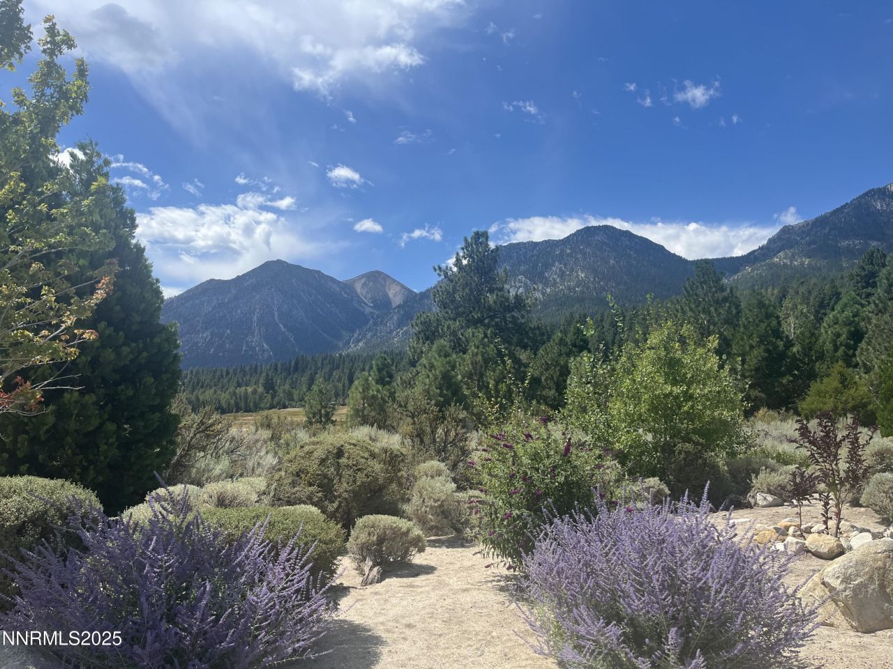 233 Sierra Country Circle, Gardnerville, NV 89460 Photo