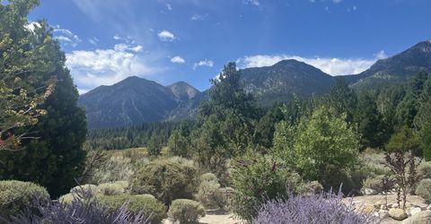 233 Sierra Country Circle, Gardnerville, NV 89460 Photo