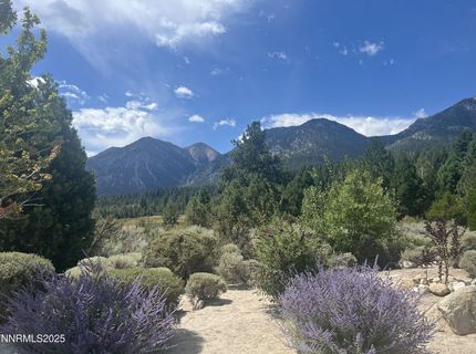 233 Sierra Country Circle, Gardnerville, NV 89460 Photo
