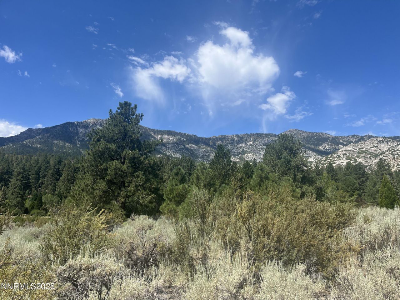 233 Sierra Country Circle, Gardnerville, NV 89460 Photo