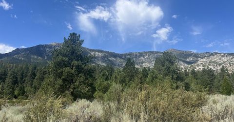 233 Sierra Country Circle, Gardnerville, NV 89460 Photo