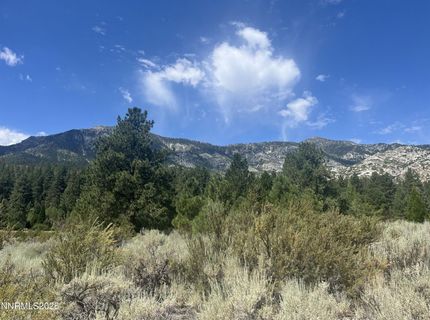 233 Sierra Country Circle, Gardnerville, NV 89460 Photo