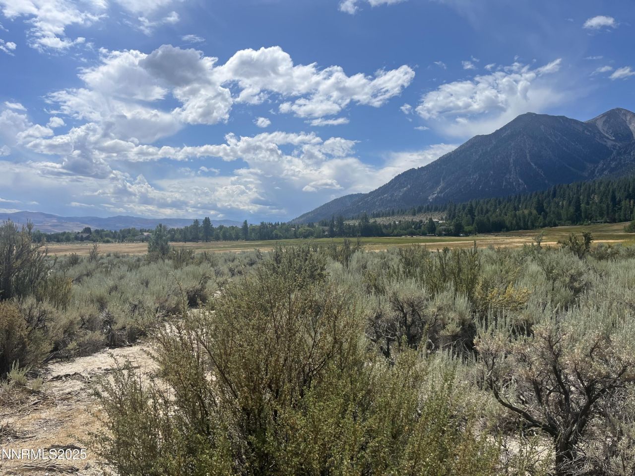 233 Sierra Country Circle, Gardnerville, NV 89460 Photo