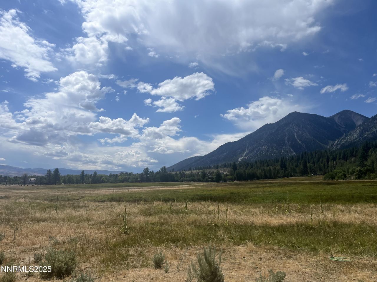 233 Sierra Country Circle, Gardnerville, NV 89460 Photo