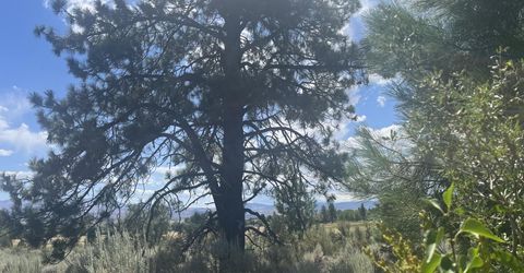 233 Sierra Country Circle, Gardnerville, NV 89460 Photo