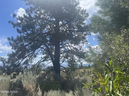 233 Sierra Country Circle, Gardnerville, NV 89460 Photo