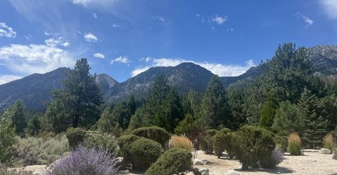 233 Sierra Country Circle, Gardnerville, NV 89460 Photo