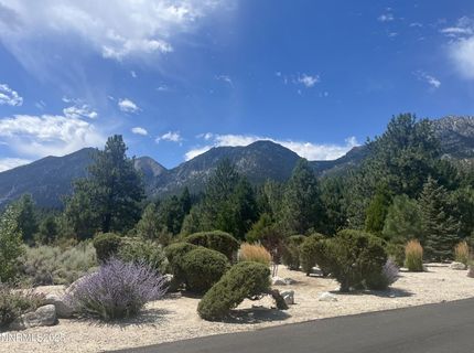 233 Sierra Country Circle, Gardnerville, NV 89460 Photo