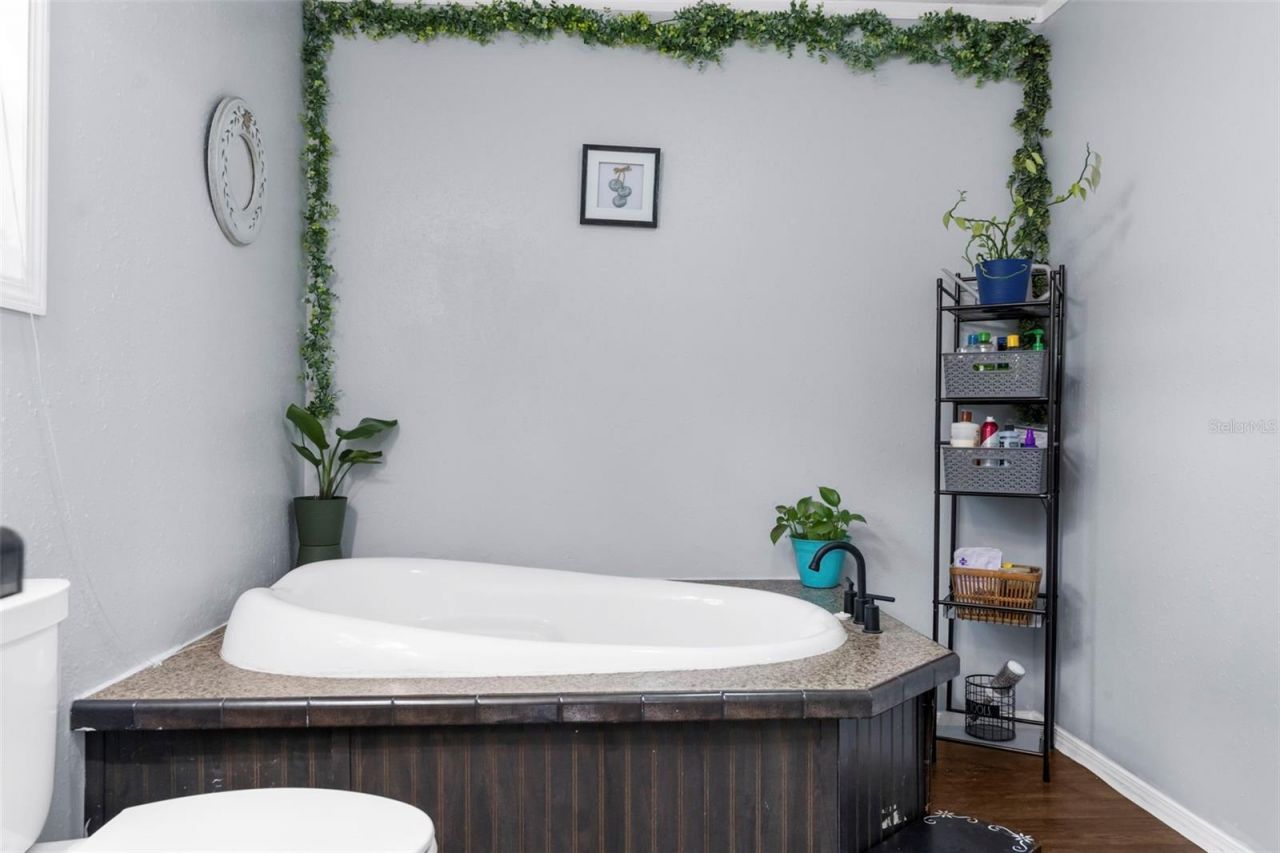 17155 Dalberg Drive, Spring Hill, FL 34610 Photo